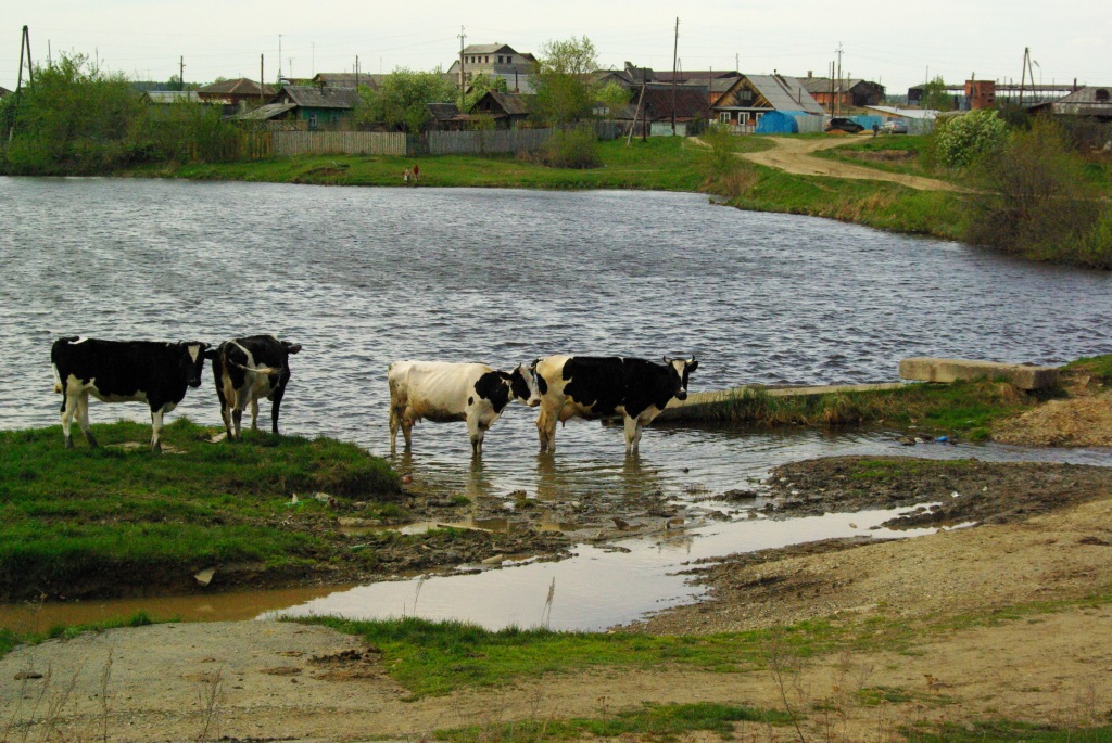 IMGP3359